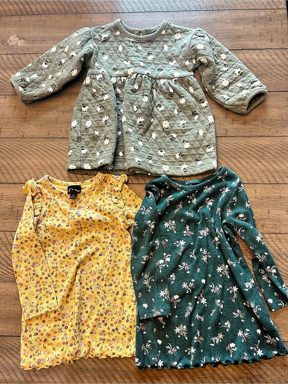 12M Baby Girl Bundle of Long Sleeve Floral Dresses